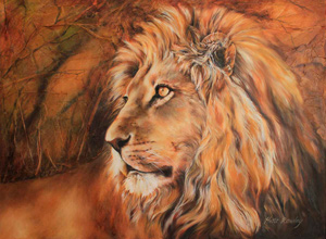 Lion at Dusk - oil painting by Hettie Rowley